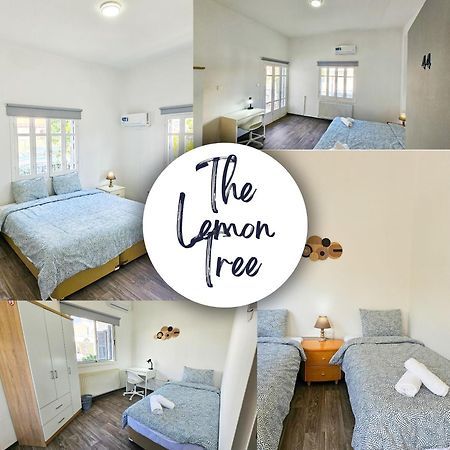 The Lemon Tree Hostel Larnaca Ngoại thất bức ảnh