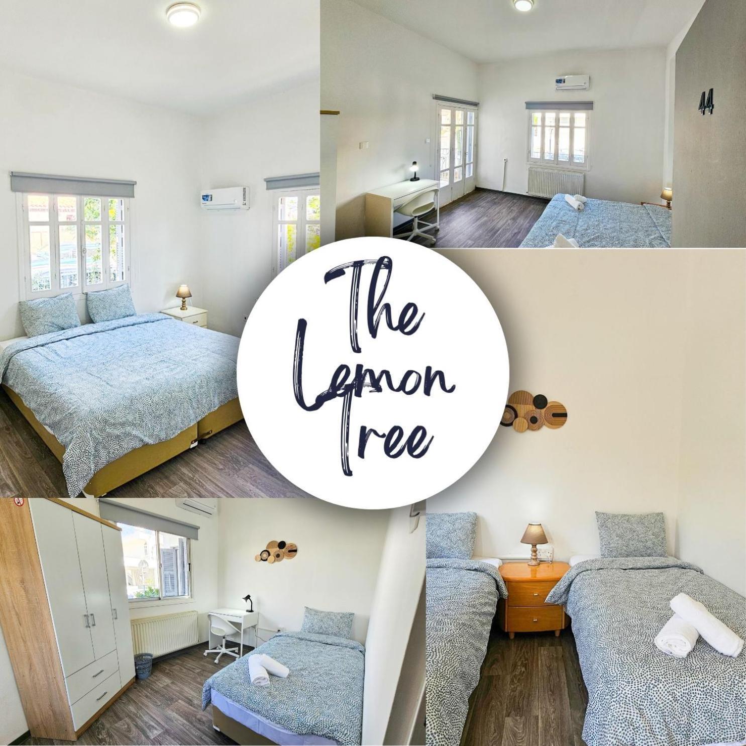 The Lemon Tree Hostel Larnaca Ngoại thất bức ảnh